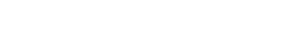 Soluções Empresariais – Sistema Fecomércio MG